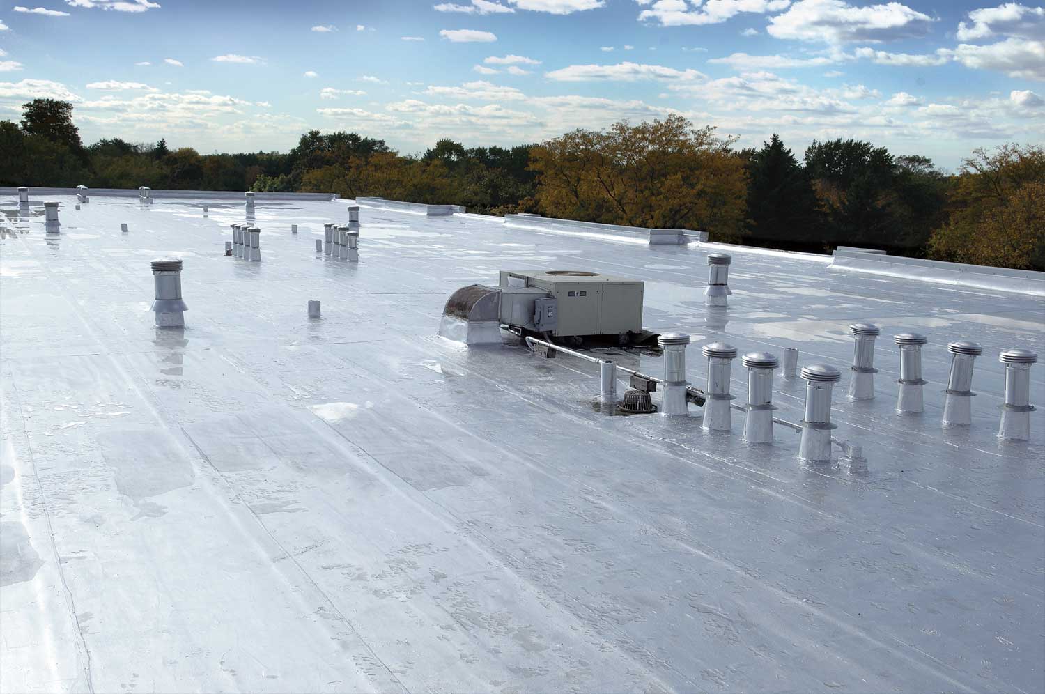 roofer in boston